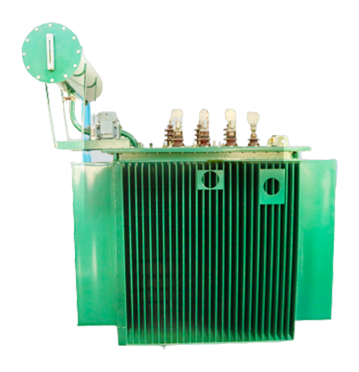 Oil-immersed Transformer