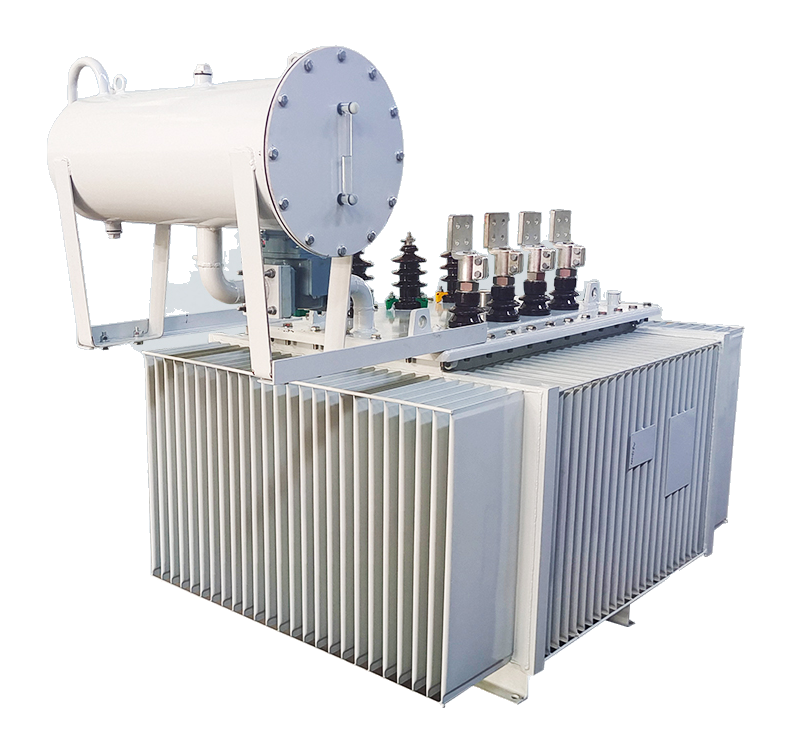 Oil-immersed Transformer