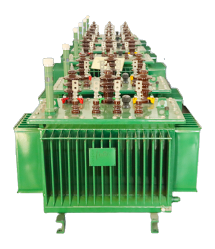 Oil-immersed Transformer