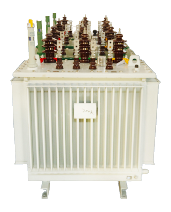 Oil-immersed Transformer