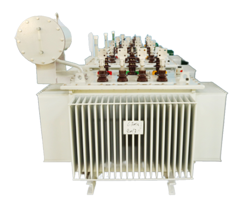 Oil-immersed Transformer