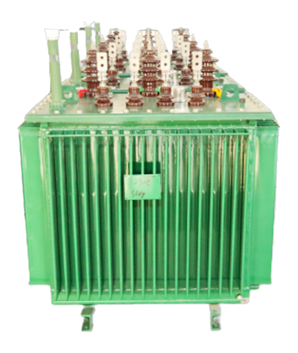 Oil-immersed Transformer