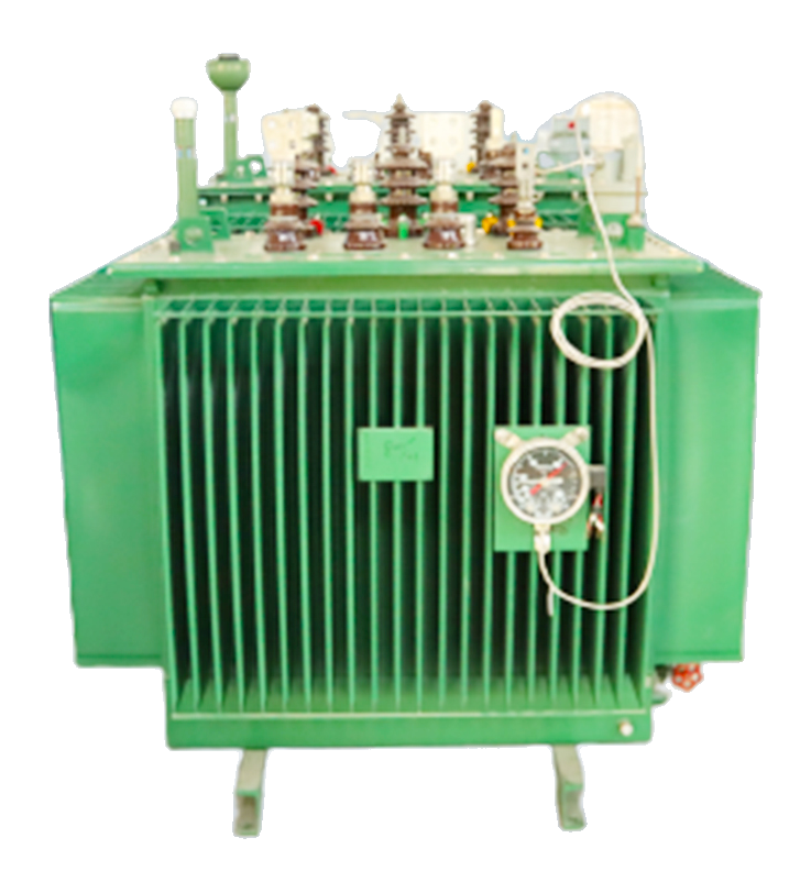 Oil-immersed Transformer