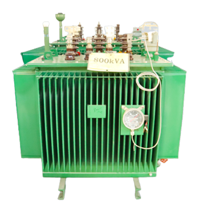 Oil-immersed Transformer